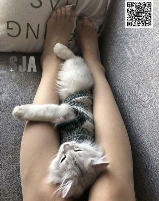 偷拍亚洲另类无码专区Av_1080HD高清在线观看